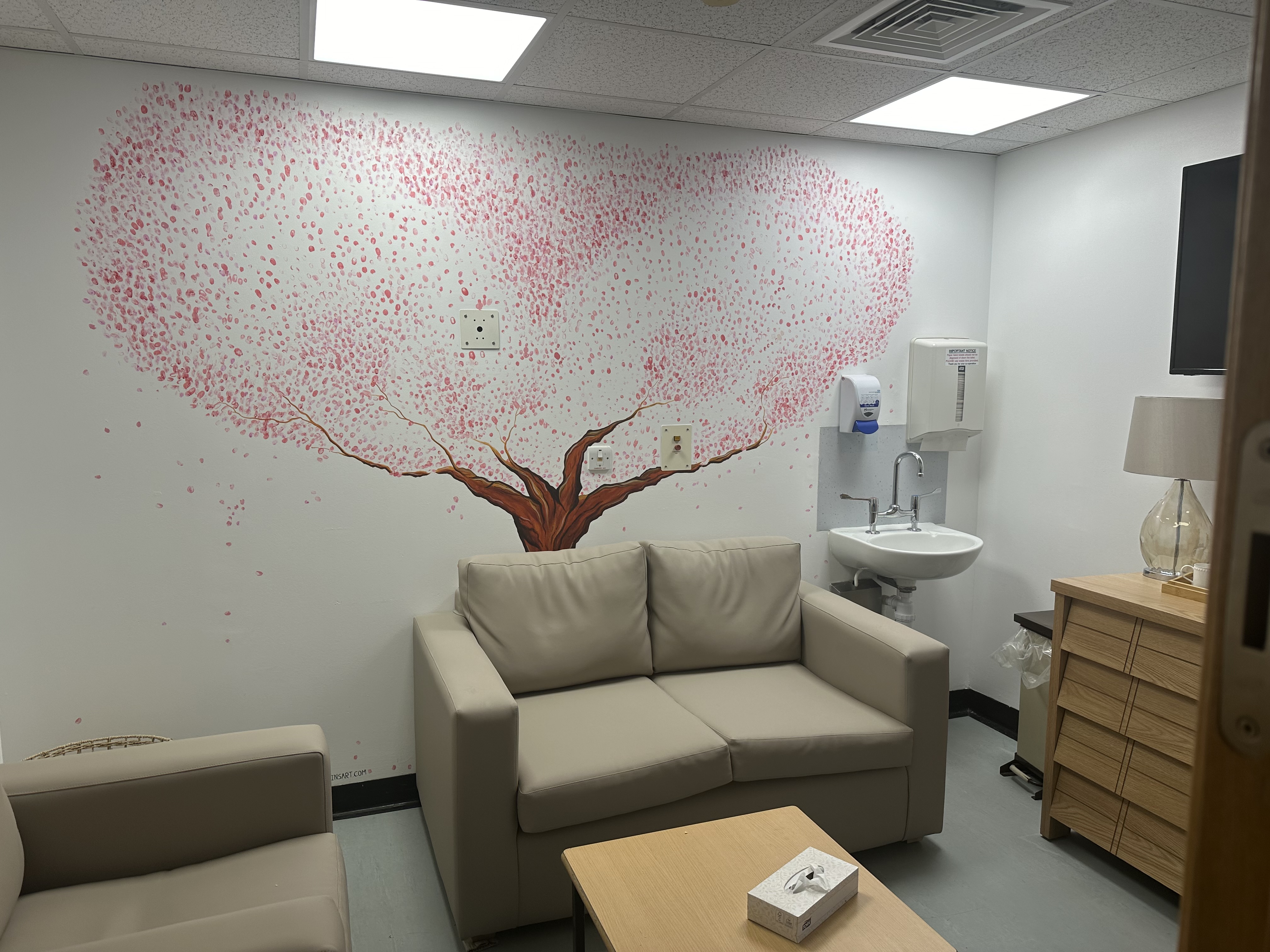 The finished artwork on Ward B26 at Sunderland Royal Hospital..jpg