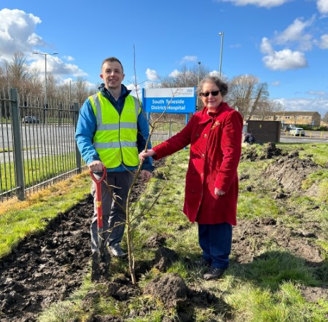 Ryan Swiers, Public Health Consultant, and Sustainability Lead at STSFT and Cllr Ruth Berkley, Lead Member for Adults, Health and Independenceplanting a tree at STSFT