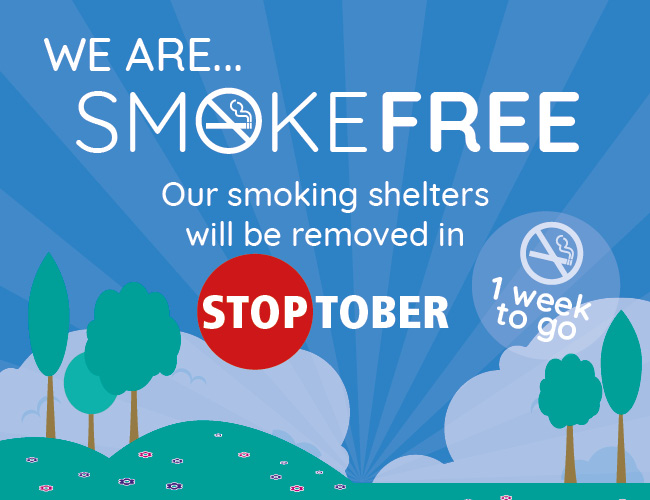 Shelters_1Week_website_carousel4.jpg
